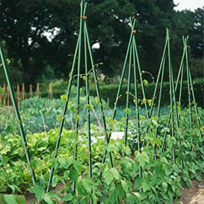 GreenSpire Piquets de Jardin Ultra-Résistants